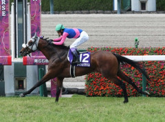 メイショウタバル凱旋門賞を視野　石橋師「オーナーと豊と話しました」