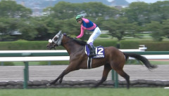 大阪杯２着メイショウタバルは凱旋門賞を視野、石橋師「オーナーと武豊騎手と話しました」