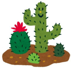 【辛い】中学から育てて大事にしていたサボテンを嫁に捨てられた。ショックで家を飛び出したが、嫁が泣きながら「捨てられたんじゃなく盗られた」と説明してきた…