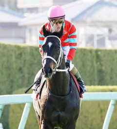 ディープボンドが和田竜二じゃなかったらG1ひとつくらい勝ってた？