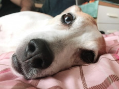 【警告】心理士「風呂キャンセルしがちな人、絶対に”これ”やっとけ」