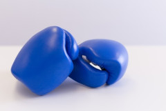 【画像】マイク・タイソンさん、動物園のゴリラに対戦を申し込んでいたことが判明ｗｗｗｗｗｗｗｗｗｗ