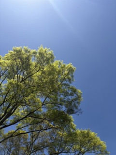 なんか「今日も生きてて良かった」って思えること書いてけ