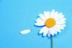 会いたくて仕方ないけど、もう会うことが出来ない