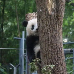 【画像】半分見えちゃってるパ〇チラ画像、見つかるwwwwwwwwwwwwwwwwww