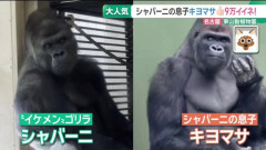 【画像】シャバーニの息子キヨマサさん、食い方までイケメンで人類が敗北してしまう