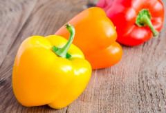 【悲報】野菜・果物でヒットした曲「パプリカ」「レモン」しかないｗｗｗｗｗｗｗｗｗｗ