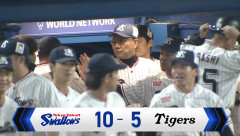 【悲報】ヤクルトスワローズ（17勝9敗）が首位の理由、誰にもわからない