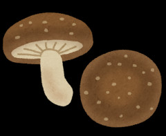 【悲報】しいたけ、まずすぎる・・・