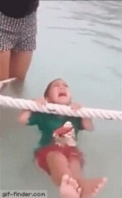 【GIF画像】このgif画像で笑ったら寝ろｗｗｗｗｗｗｗｗｗｗｗ