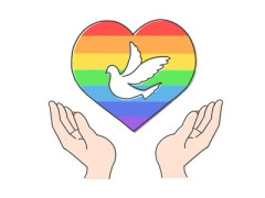 共産・小池「平和の問題を一生懸命勉強して、沖縄まで来られた方が、ああいった形で命を」　辺野古転覆