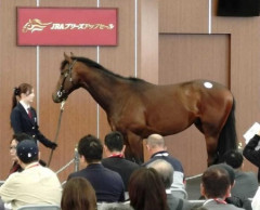 【ブリーズアップセール】父レイデオロ、母父ダンスインザダークの馬が最高落札額