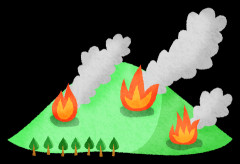 【動画】山火事を起こす連中、見つかるｗｗｗｗｗｗｗｗｗｗｗｗｗｗｗｗｗｗ