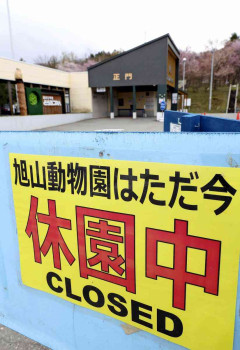 旭川市長「旭山動物園はかつてない危機」、職員「妻の遺体を焼却炉に遺棄」供述で開園延期…「こわい」とキャンセルも