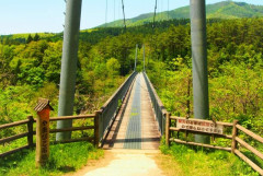 宮城県の山林で白骨化した男性の遺体を発見… 所持品に2019年4月のサッカー観戦チケットや文庫本など