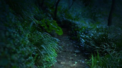 【不気味】上半身が白骨化した男性遺体。5年前のチケットを持ったまま、藪の中で何を待っていたのか？