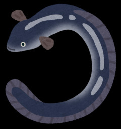 「うなぎ」が“異例”の安さ　稚魚豊漁…うな丼800円引きも　この安さいつまで続く？