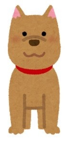 【画像】世界で最も醜い犬のコンテストの新しい勝者がコチラｗｗｗｗｗｗｗ