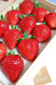 海外「日本に行ったら苺を食べないと！」世界を魅了する日本の苺に対する海外の反応