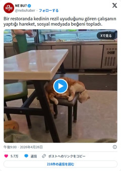 【動画】レストランの猫さん、だらしなすぎる寝姿を店員に起こされるも即二度寝してしまう