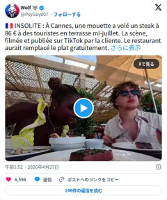 【動画】カンヌの観光客さん、1万4000円のステーキをカモメに一瞬で強奪されてしまう