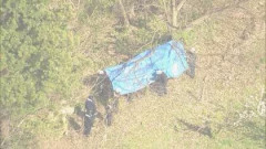 岩手県の山林で見つかった女性の遺体、クマに襲われて死亡と断定　クマによる死者は今年初めて