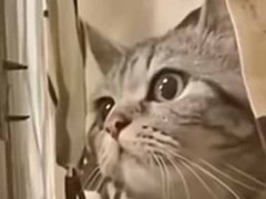 近所で奥さんが叫んでいた。あら、夫婦喧嘩かしら？ → 隣人たちはこうなります…