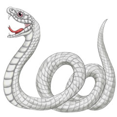 身長157cm体重187kgのキャバ嬢にネット衝撃「ここまで大きくなれるのは才能」「真のヘビー級」