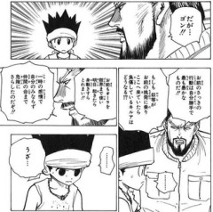 【ハンターハンター】ゴン？