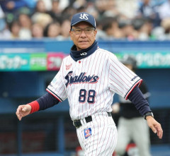 ヤクルト　接戦落として首位陥落　阪神・高橋の前に二塁も踏めずｗｗｗｗｗｗ