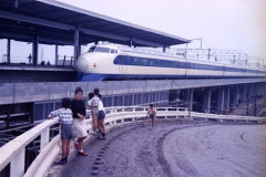 【昭和の日】昭和生まれっぽい発言をしろ