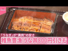 「うなぎ」が“異例”の安さ　稚魚豊漁…うな丼800円引きも　この安さいつまで続く？