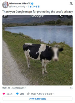 【画像】Googleマップさん、牛の顔にモザイクをかけてプライバシーを保護してしまう