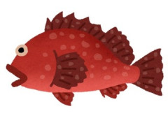 【メシマズ】エラも内蔵も取ってない25ｃｍくらいのアジの唐揚げが丸ごとそのまんま出てきた。→俺「下処理してないの？」嫁「ワカサギだってそのまんま揚げるじゃん」