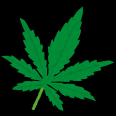 【悲報】JA愛知、アヘンの材料となるケシの花の苗を販売www