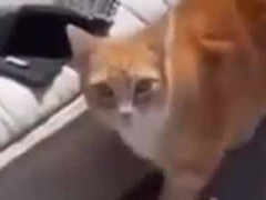 彼は気づいていなかった。足元に危険な生き物がいる！ → こうなった…