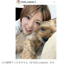 【悲報】元モー娘。小川麻琴さん、愛犬との別れを報告「昨日の夜、虹の橋を…」・・・・・・・・・
