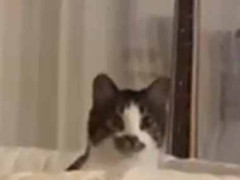 妊娠中の彼女がベビー用品をそろえた。あなたの為じゃないんだけど → 彼はこうなった…