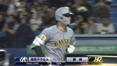【ヤクルト対阪神6回戦】阪神・佐藤輝明、リーグトップに並ぶ第7号ソロホームラン！！！！！！！！！！！！！！！！！！！！！！