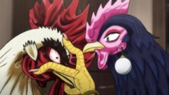 ニワトリ・ファイター 第4話 感想：お盛り様がキター！昔飼ってた鶏も一匹で大変だったのかなぁ〜