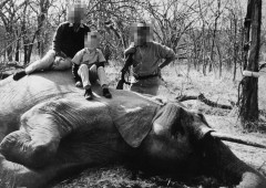 狩猟マニアの米富豪、アフリカで象に踏みつぶされて死亡！
