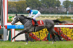 【競馬予想】[3]第173回天皇賞(春)(GⅠ) 2026