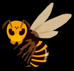 【動画】熊さん、スズメバチさんに滅多刺しされてしまう