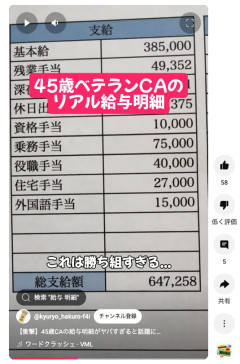 【画像】ババアCAの給与明細が流出wwww