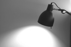 【旭山動物園事件】犯人の男性職員、『とんでもない発言』をしてしまう・・・・