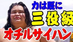 【相撲】