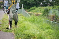契約書なしで草刈りを委託した徳島県職員、懲戒免職　1400万円を自腹