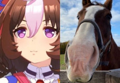 【ウマ娘】ドットさんは相変わらずSKBで元気なお爺ちゃんだな？