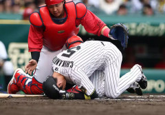 阪神近本、死球で骨折も「別に気にしなくていい」カープ高太一から謝罪を受けて返答