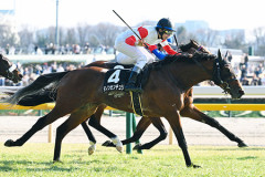 【競馬予想】第71回京王杯スプリングカップ(GⅡ) /2026